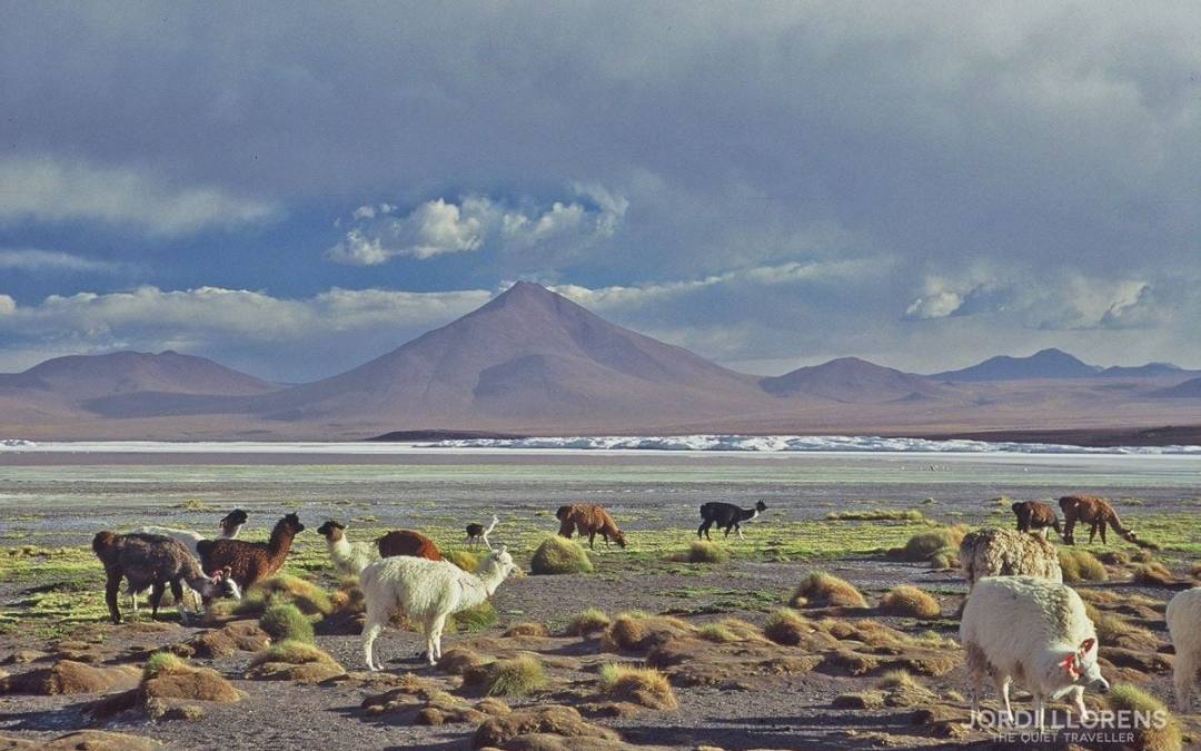 Bolivia, las Lagunas y el Desierto de Sal