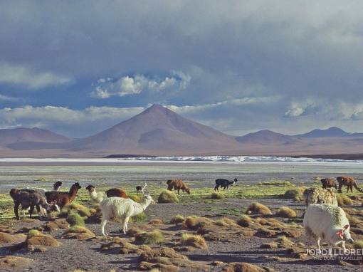Bolivia, las Lagunas y el Desierto de Sal