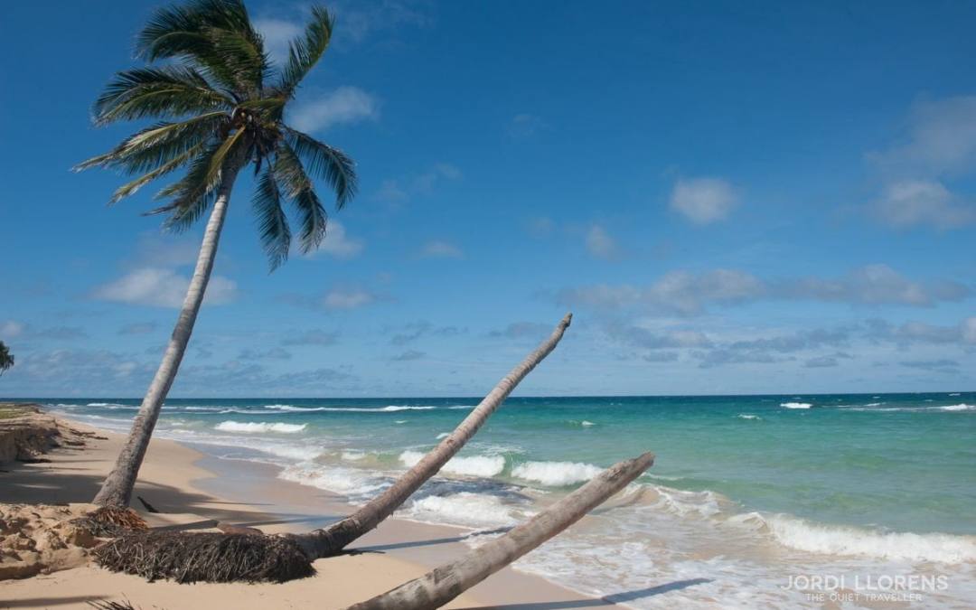 Les Corn islands de Crusoe