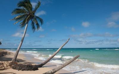 The Corn islands of Crusoe