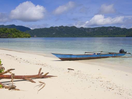 Raja Ampat, la major biodiversitat marina del planeta